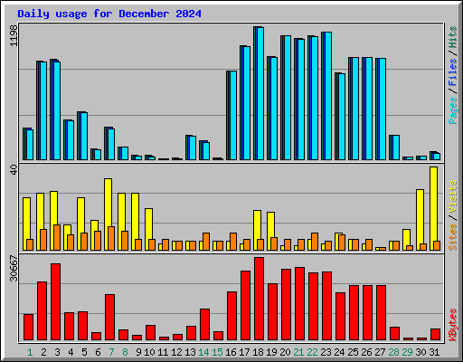 Daily usage for December 2024