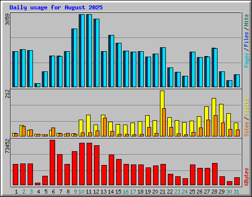 Daily usage for August 2025