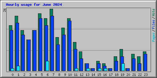 Hourly usage for June 2024