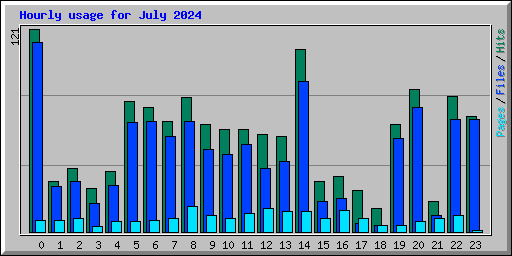 Hourly usage for July 2024