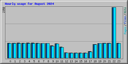 Hourly usage for August 2024