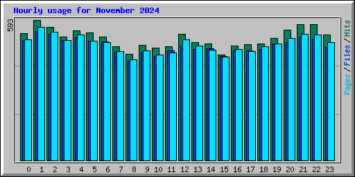 Hourly usage for November 2024