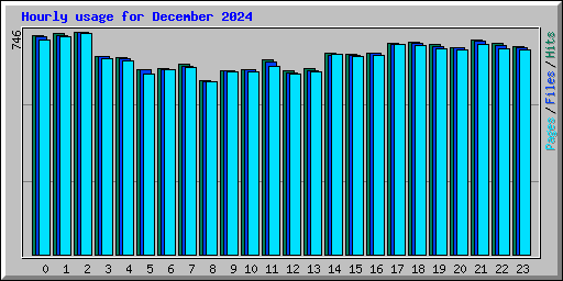 Hourly usage for December 2024