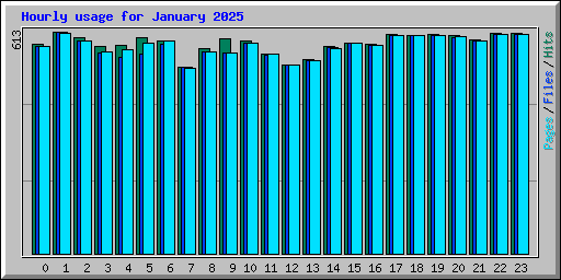 Hourly usage for January 2025