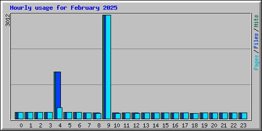 Hourly usage for February 2025