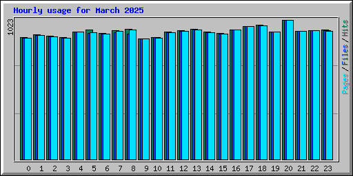 Hourly usage for March 2025