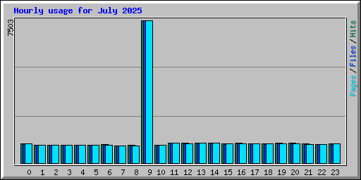 Hourly usage for July 2025