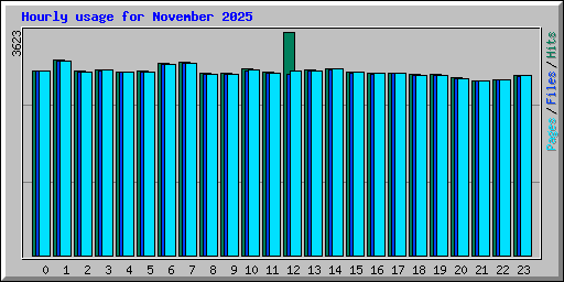 Hourly usage for November 2025