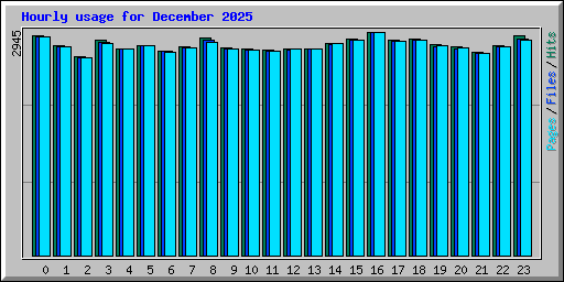 Hourly usage for December 2025