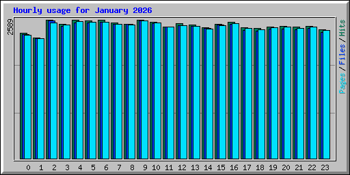 Hourly usage for January 2026