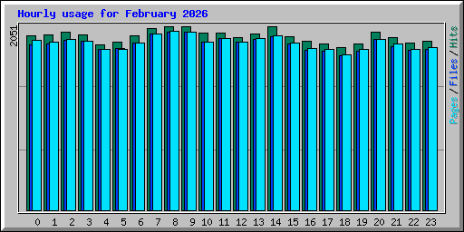 Hourly usage for February 2026